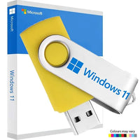 Windows 11 Professional Reinstall Recovery USB