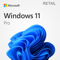 Microsoft Windows 11 Professional | RETAIL | License Key | Lifetime