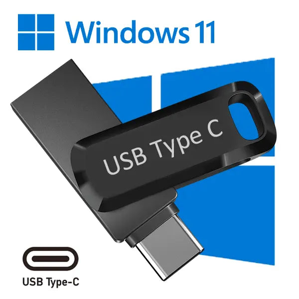 Windows 11 Professional USB-C Reinstall Recovery