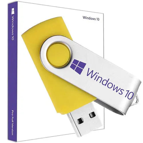 Windows 10 Professional Reinstall Recovery USB