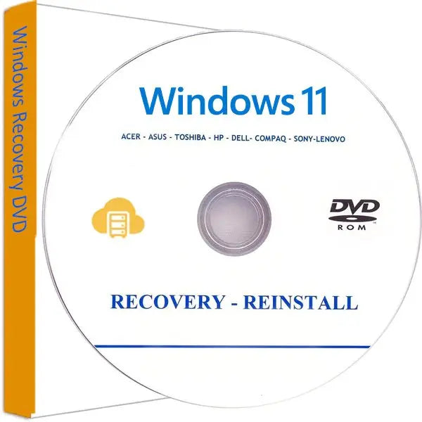 Windows 11 Professional Reinstall Recovery DVD